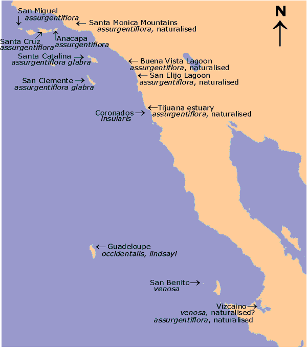 location map for Californian Laveteras