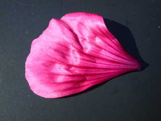 Malope 'Vulcan', petal